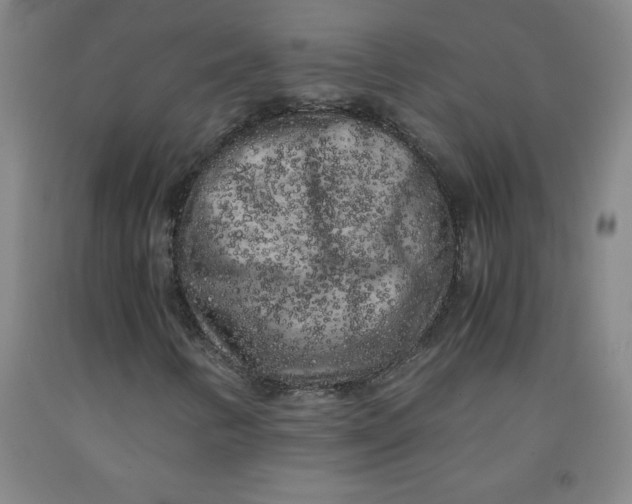 X0000091881346200709261343