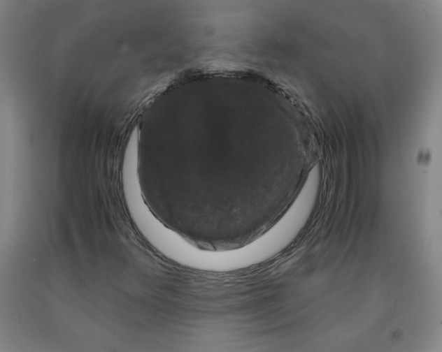 X0000091881348200709261343