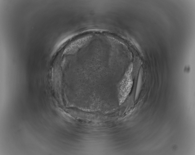 X0000091881352200709261343