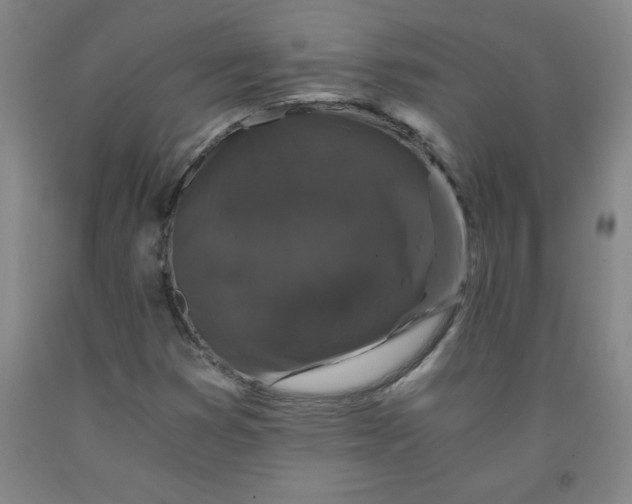 X0000091881353200709261343