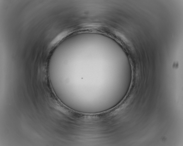 X0000091881354200709261343