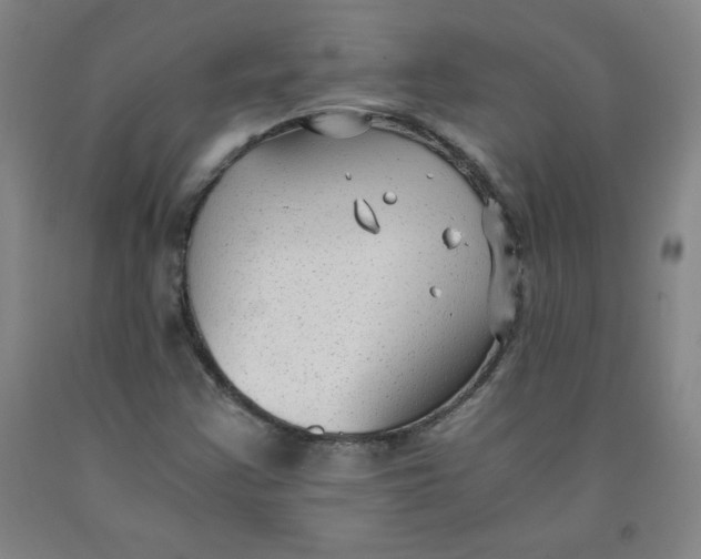 X0000091881355200709261343