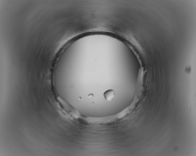 X0000091881356200709261343