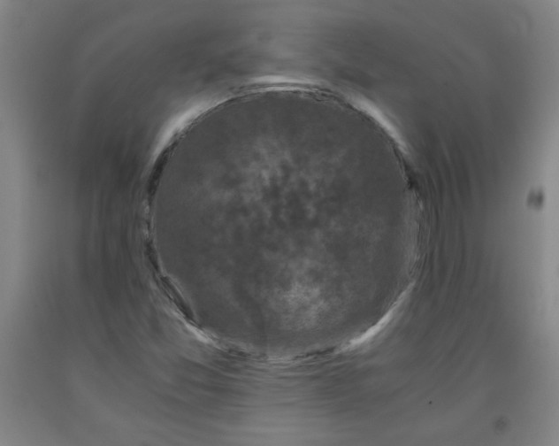 X0000091881357200709261343