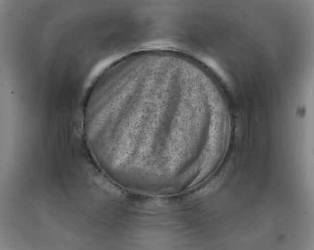 X0000091881358200709261343