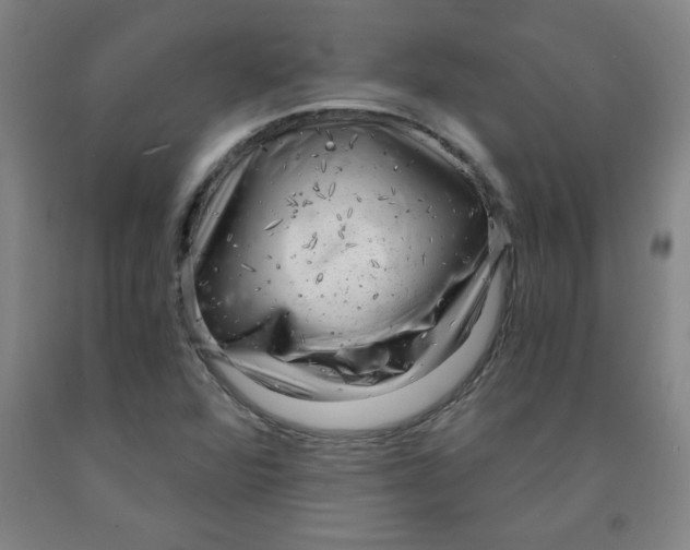 X0000091881360200709261343