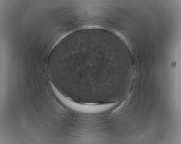 X0000091881361200709261343