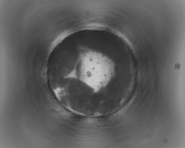 X0000091881362200709261342