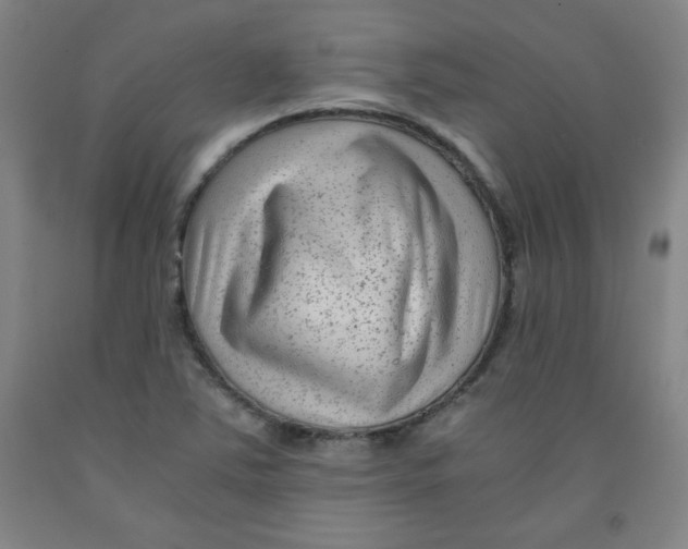 X0000091881363200709261342