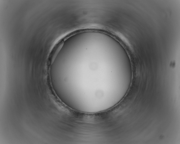 X0000091881364200709261342