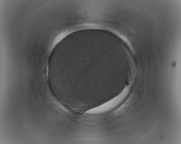 X0000091881365200709261342