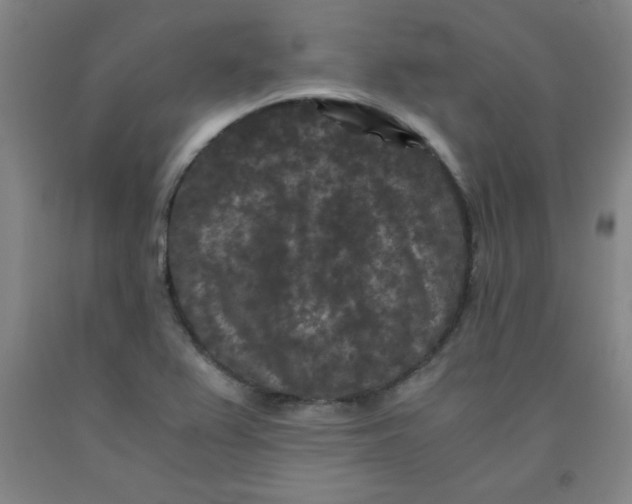 X0000091881367200709261342