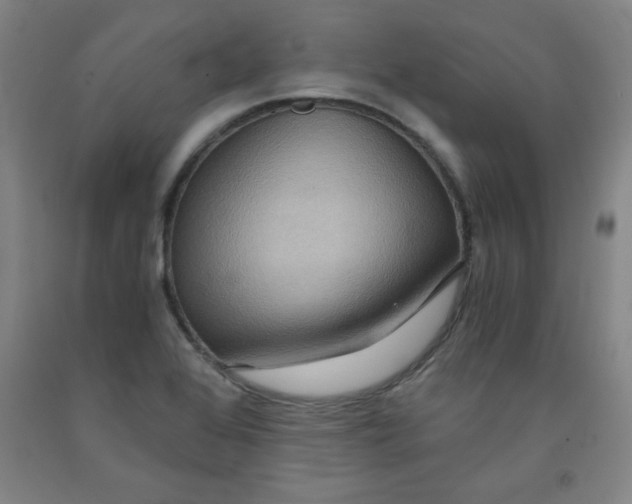 X0000091881368200709261342