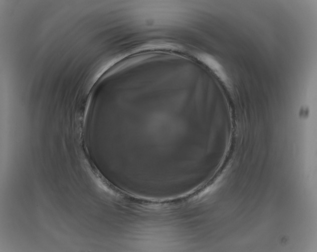 X0000091881369200709261342