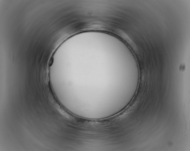 X0000091881370200709261342