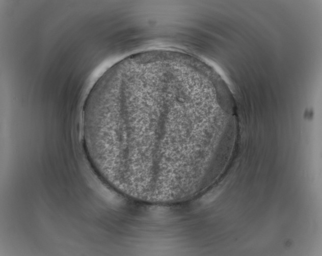 X0000091881371200709261342