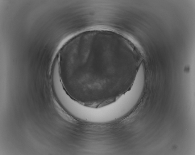 X0000091881372200709261342