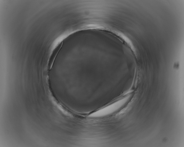 X0000091881373200709261342