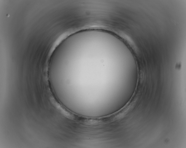 X0000091881374200709261342