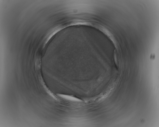 X0000091881377200709261342