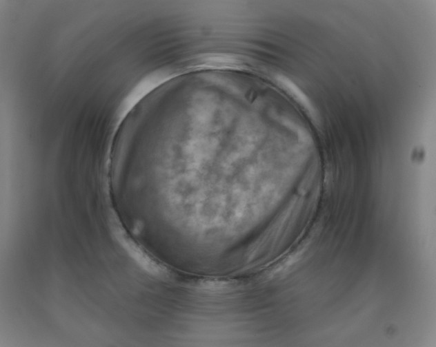 X0000091881378200709261342