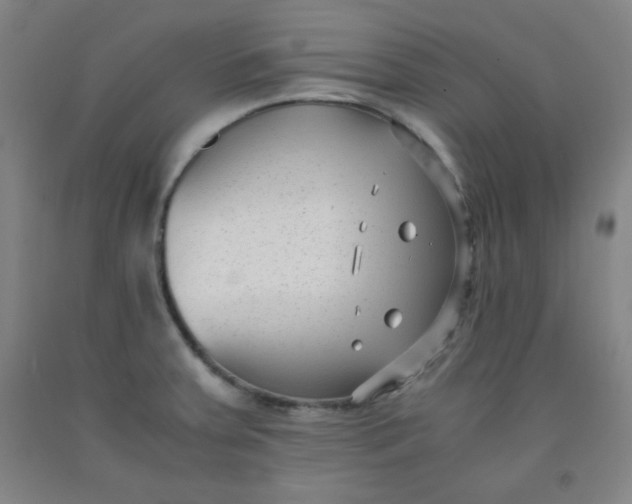 X0000091881379200709261342