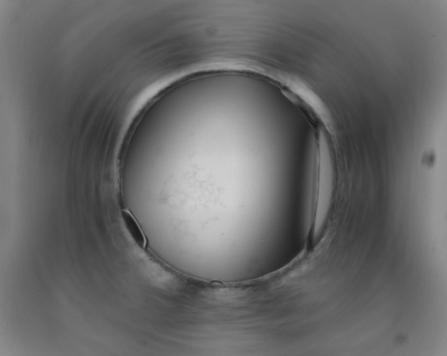 X0000091881380200709261342