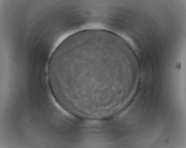 X0000091881382200709261342