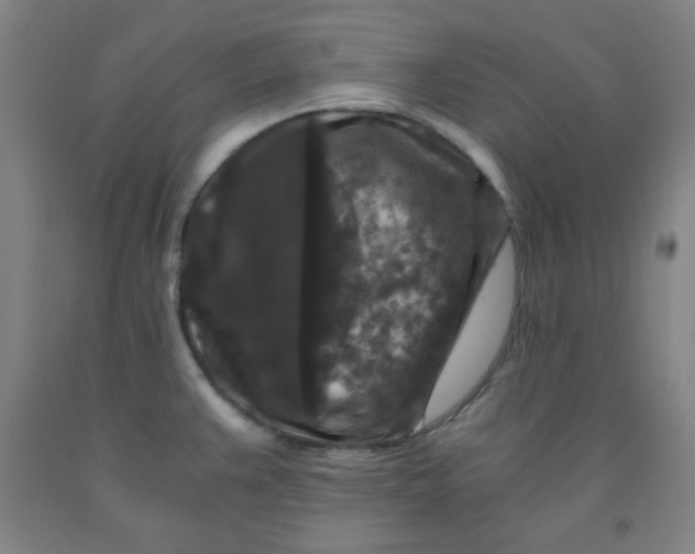 X0000091881383200709261342