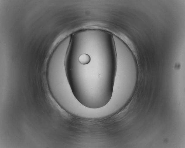 X0000091881384200709261342