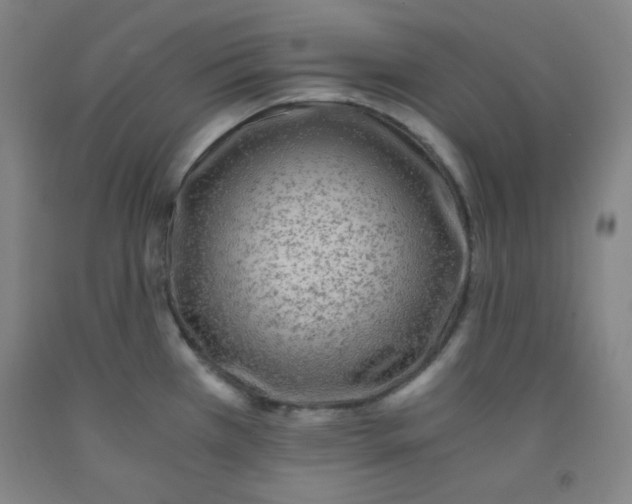 X0000091881385200709261342