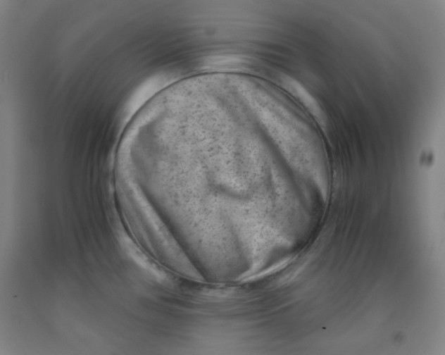 X0000091881386200709261342