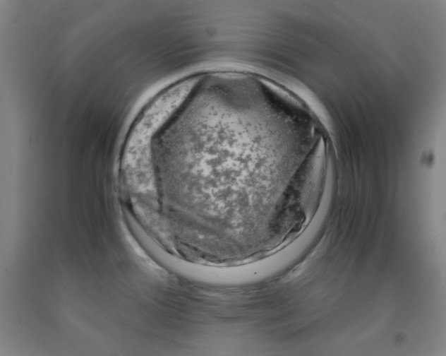 X0000091881388200709261342