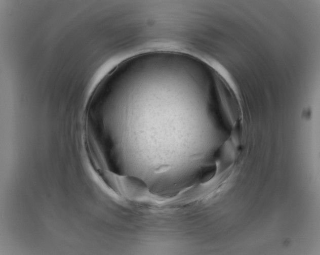 X0000091881389200709261342