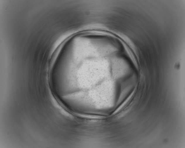 X0000091881390200709261342