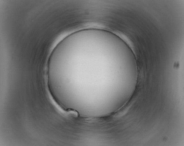 X0000091881391200709261342