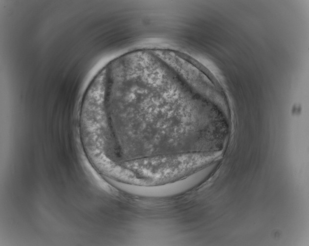 X0000091881392200709261342