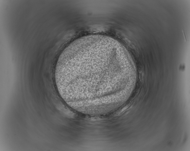 X0000091881393200709261342