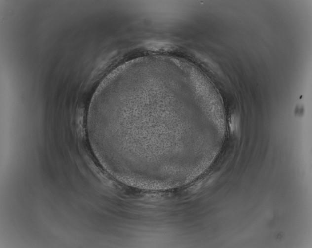 X0000091881396200709261342