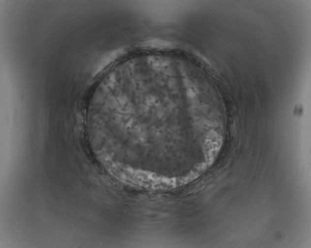 X0000091881397200709261342