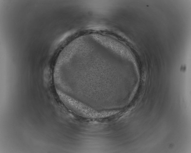 X0000091881398200709261342