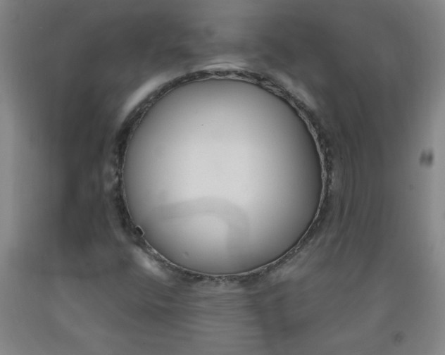 X0000091881400200709261342