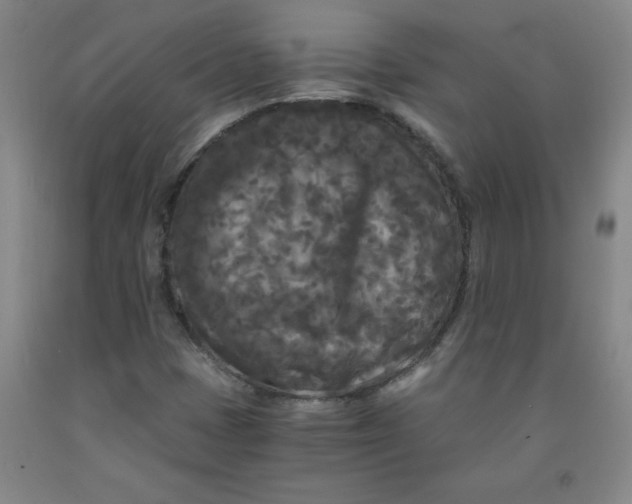 X0000091881401200709261342