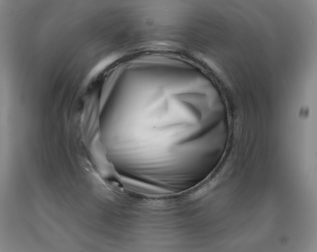 X0000091881402200709261342