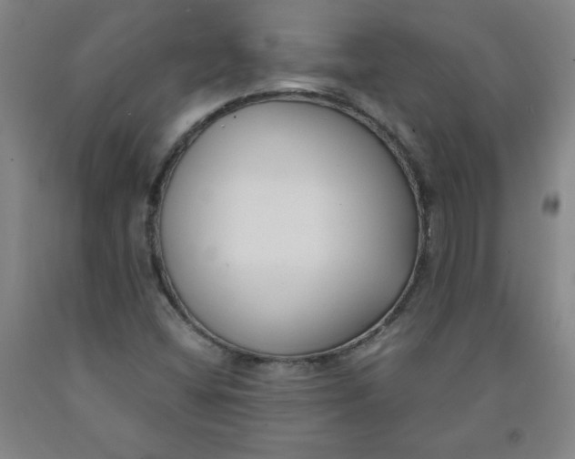 X0000091881404200709261342