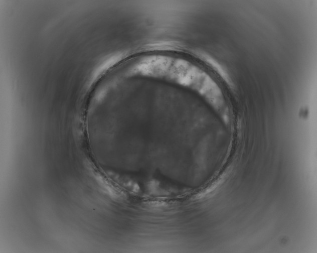 X0000091881405200709261342