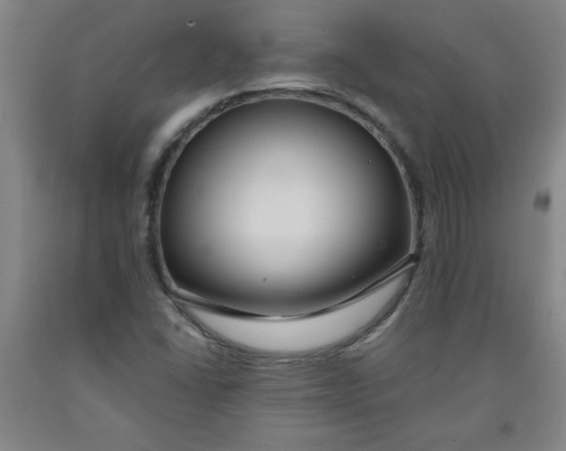 X0000091881406200709261342