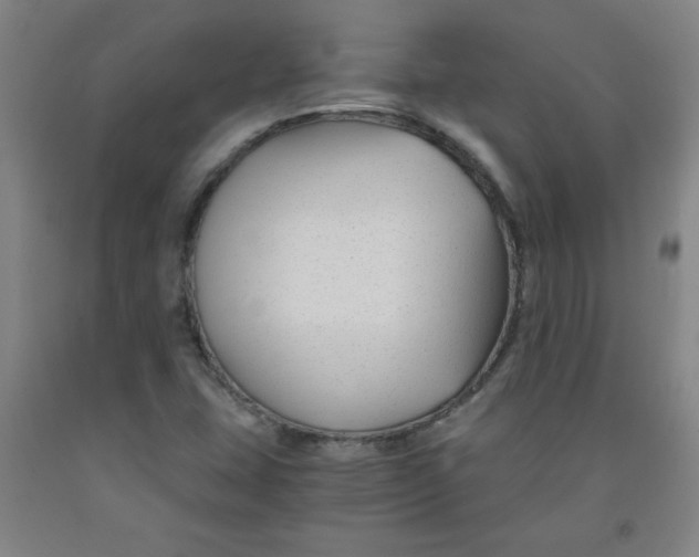 X0000091881407200709261342