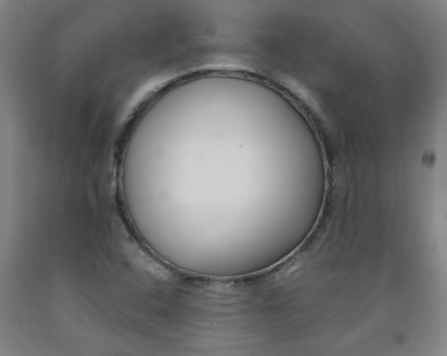 X0000091881408200709261342