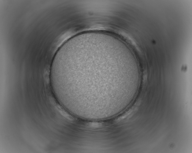 X0000091881409200709261342